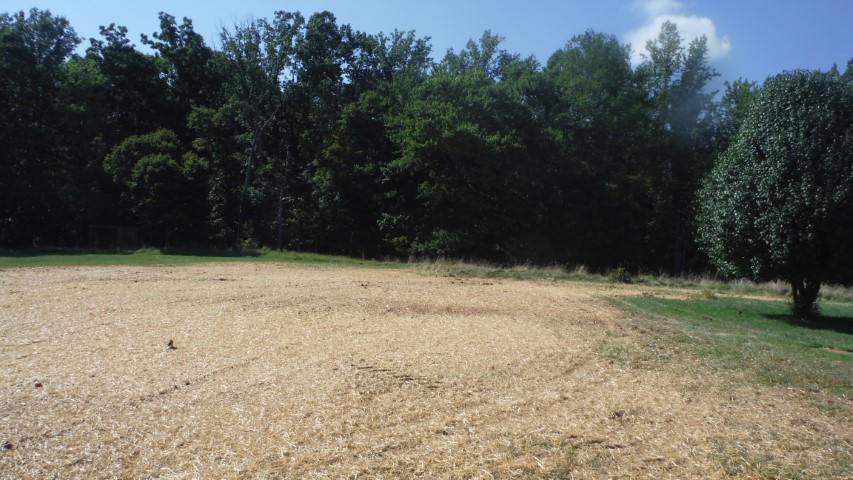 1835 Mead Valley Road Moneta, VA 24121 - Photo 2 of 30 DSCF4010 dated