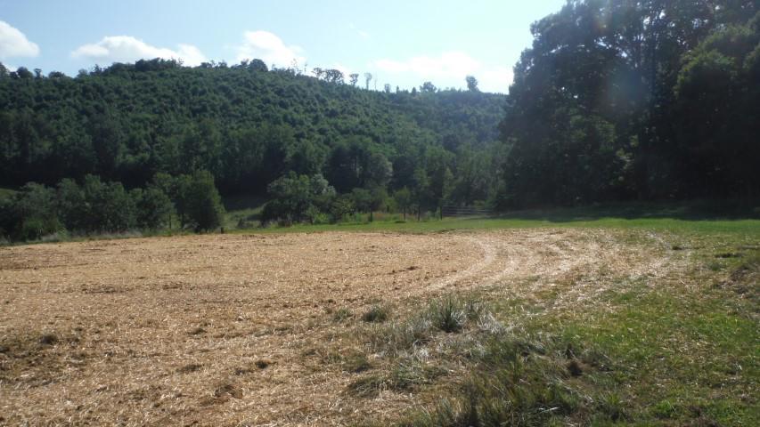 1835 Mead Valley Road Moneta, VA 24121 - Photo 21 of 30 DSCF4030 dated
