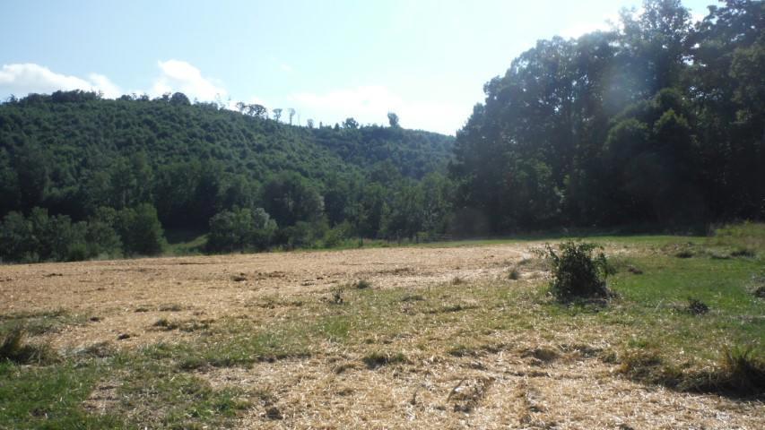 1835 Mead Valley Road Moneta, VA 24121 - Photo 23 of 30 DSCF4032 dated