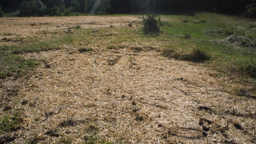 1835 Mead Valley Road Moneta, VA 24121 - Photo 24 of 30 DSCF4033 dated