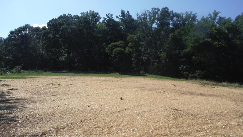 1835 Mead Valley Road Moneta, VA 24121 - Photo 3 of 30 DSCF4011 dated