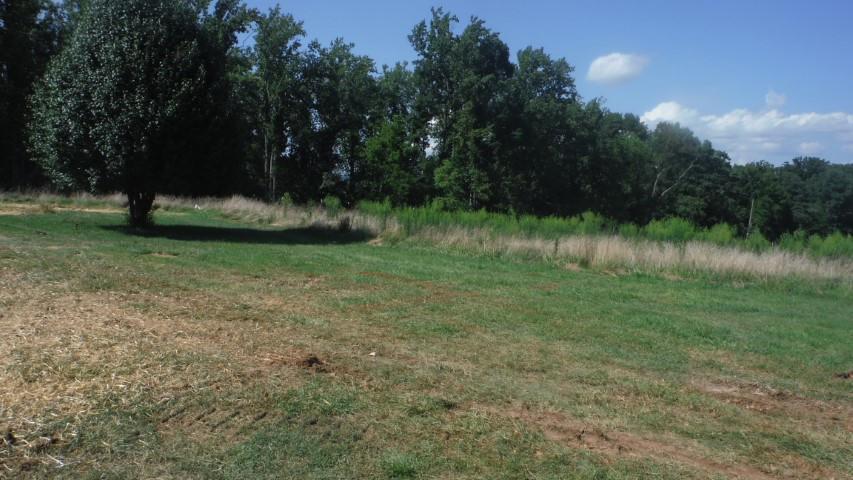 1835 Mead Valley Road Moneta, VA 24121 - Photo 4 of 30 DSCF4012 dated