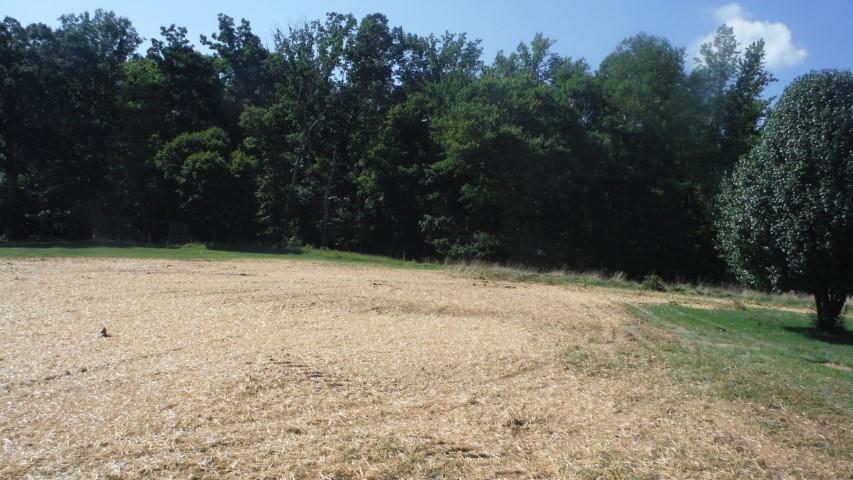 1835 Mead Valley Road Moneta, VA 24121 - Photo 6 of 30 DSCF4014 dated