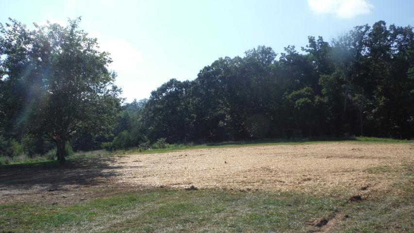 1835 Mead Valley Road Moneta, VA 24121 - Photo 10 of 30 DSCF4018 dated