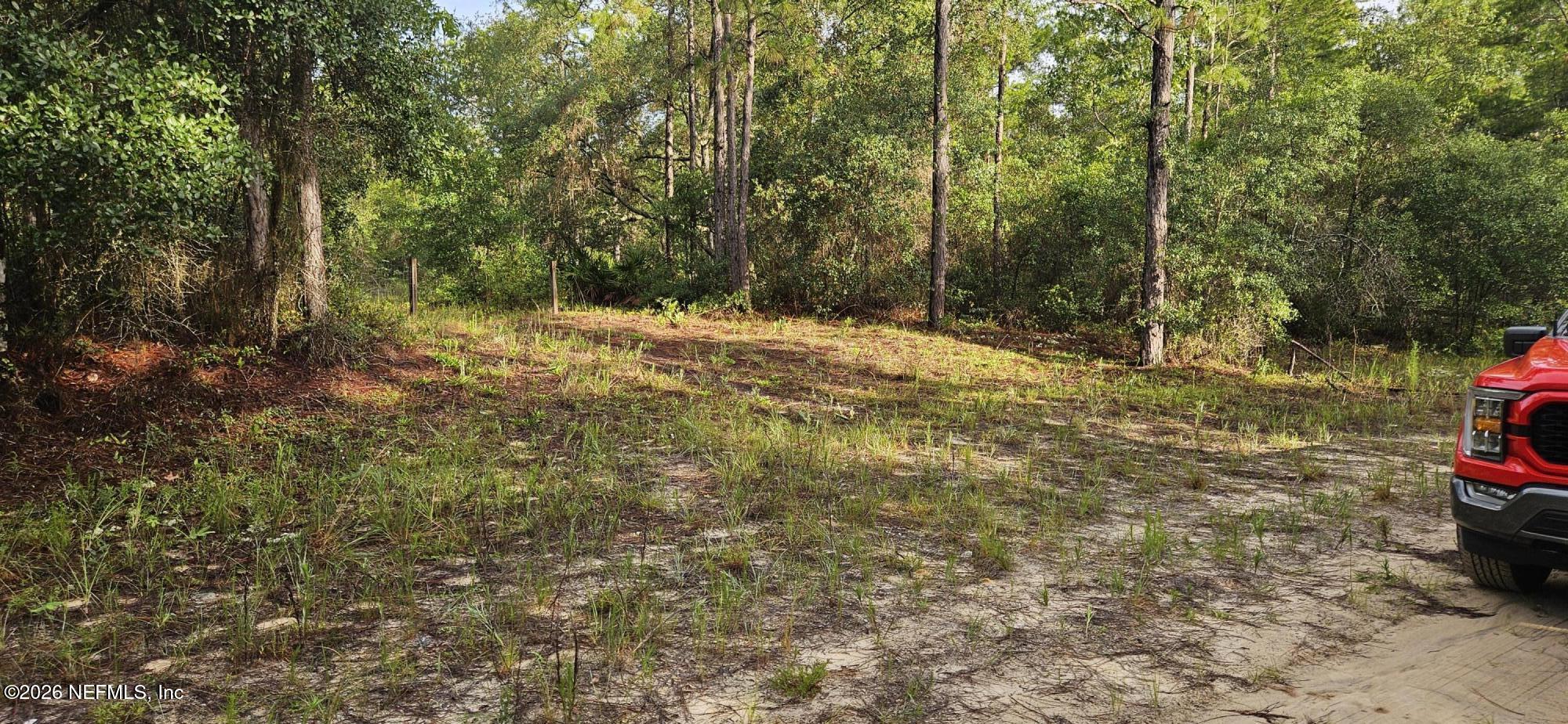 409 Incline Road Satsuma, FL 32189 - Photo 1 of 2 20260617_082753