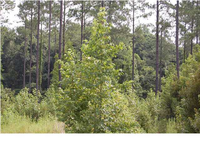 49 Briar Bend Road Ridgeville, SC 29472 - Photo 2 of 3 Additional Photo
