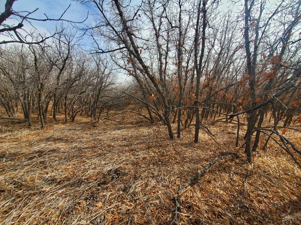 Tbd Thacker Road Rye, CO 81069 - Photo 4 of 6