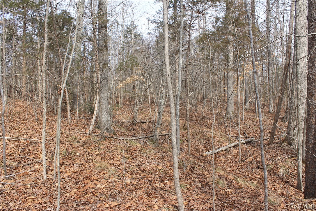 0 South Genito Road Jetersville, VA 23083 - Photo 8 of 36 Gallery Image 8