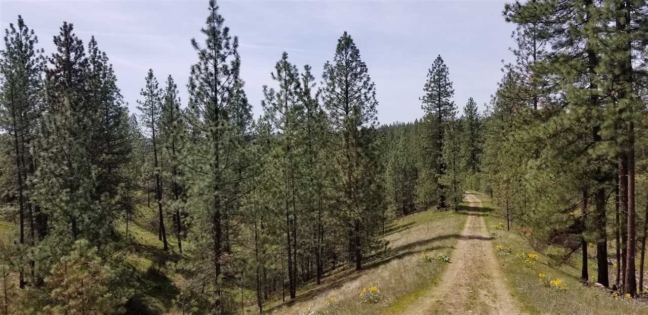 Nine South Swenson Road Nine Mile Falls, WA 99026 - Photo 1 of 19 Gallery Image 1