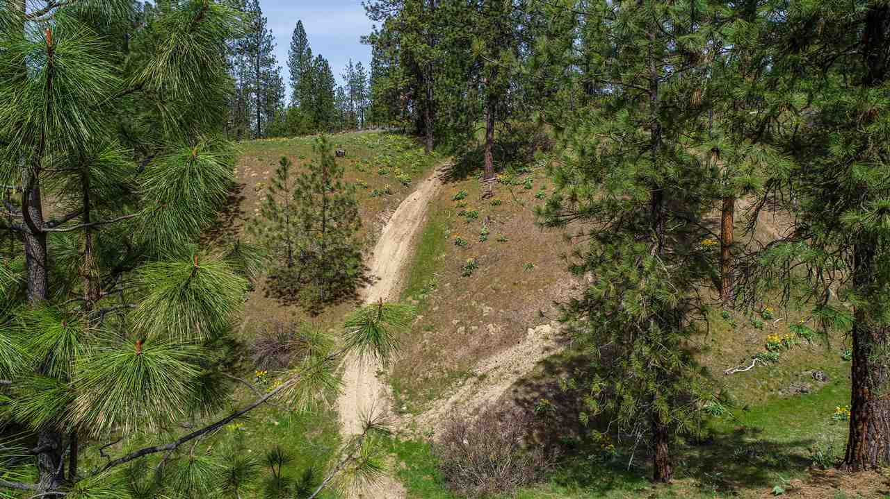 Nine South Swenson Road Nine Mile Falls, WA 99026 - Photo 2 of 19 Gallery Image 2