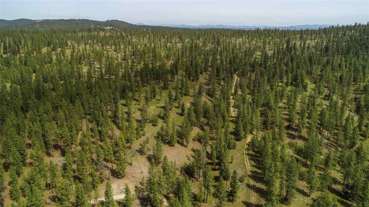 Nine South Swenson Road Nine Mile Falls, WA 99026 - Photo 12 of 19 Gallery Image 12