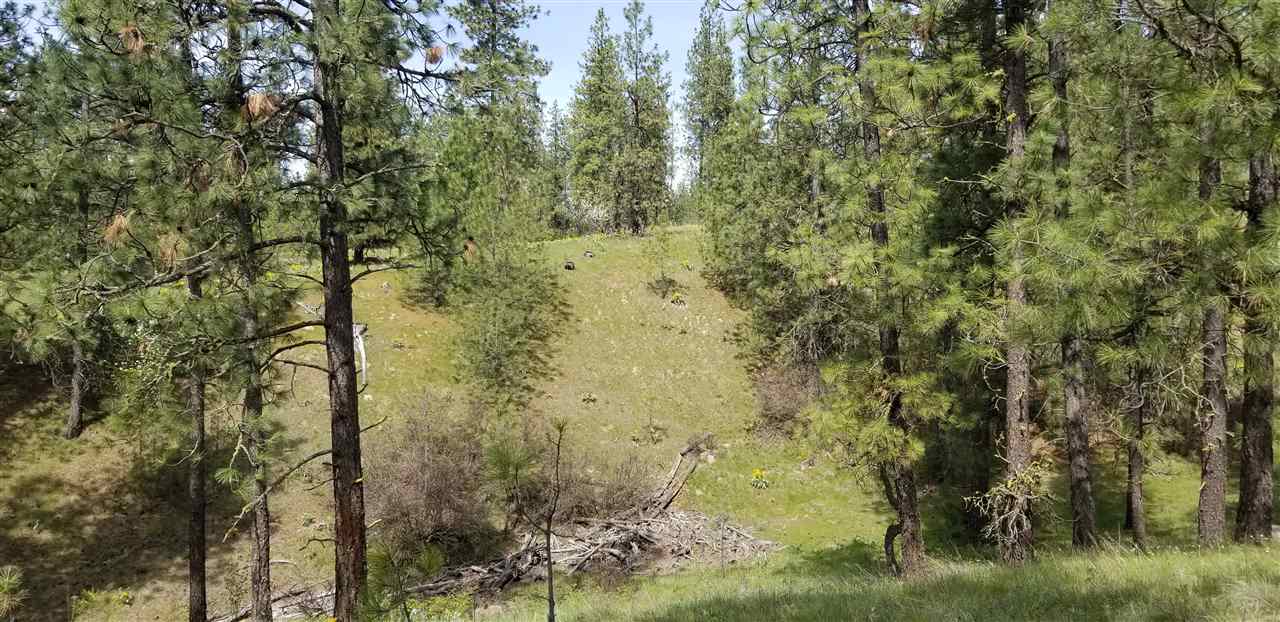 Nine South Swenson Road Nine Mile Falls, WA 99026 - Photo 13 of 19 Gallery Image 13