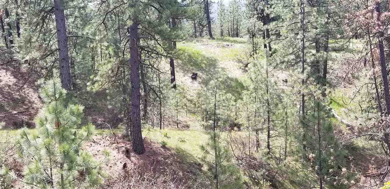 Nine South Swenson Road Nine Mile Falls, WA 99026 - Photo 14 of 19 Gallery Image 14