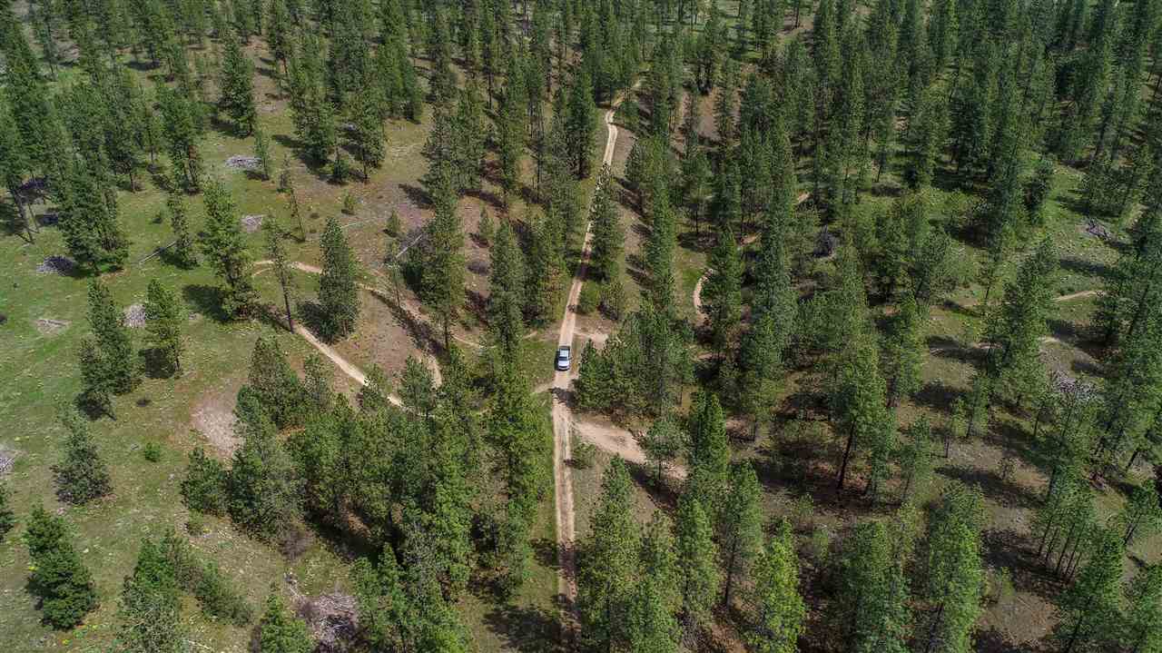 Nine South Swenson Road Nine Mile Falls, WA 99026 - Photo 15 of 19 Gallery Image 15