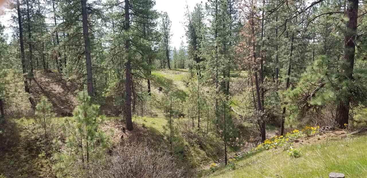 Nine South Swenson Road Nine Mile Falls, WA 99026 - Photo 17 of 19 Gallery Image 17