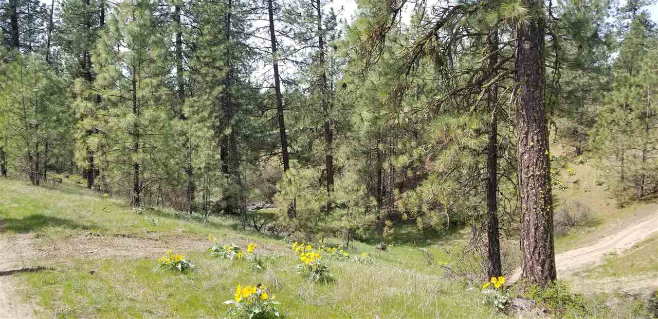 Nine South Swenson Road Nine Mile Falls, WA 99026 - Photo 3 of 19 Gallery Image 3