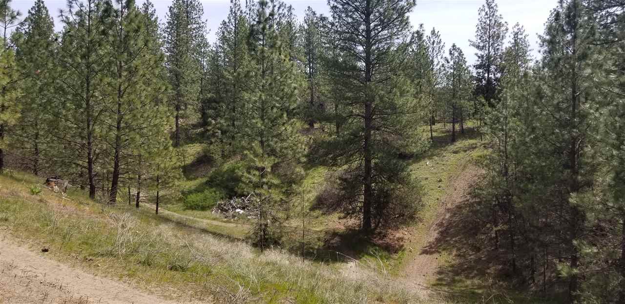 Nine South Swenson Road Nine Mile Falls, WA 99026 - Photo 4 of 19 Gallery Image 4