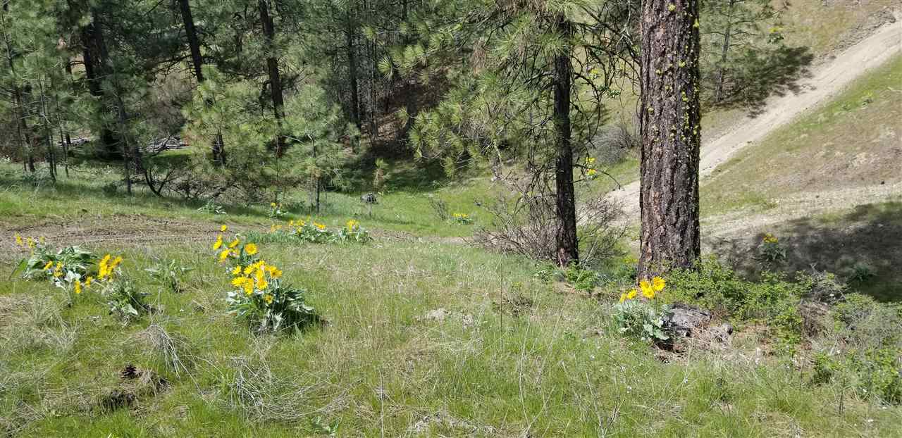 Nine South Swenson Road Nine Mile Falls, WA 99026 - Photo 5 of 19 Gallery Image 5