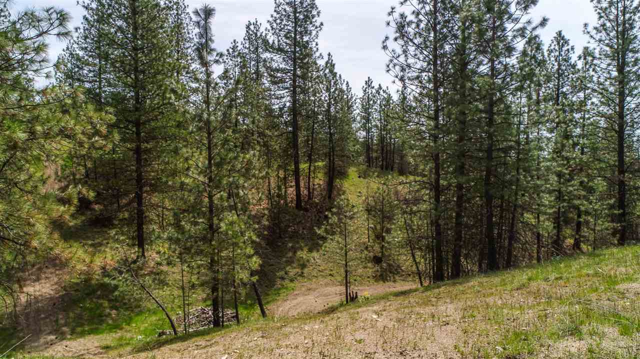 Nine South Swenson Road Nine Mile Falls, WA 99026 - Photo 6 of 19 Gallery Image 6
