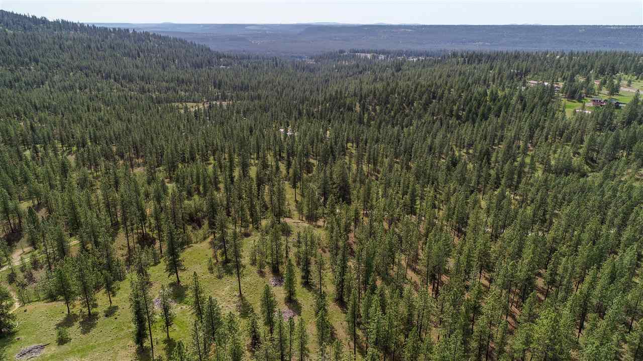 Nine South Swenson Road Nine Mile Falls, WA 99026 - Photo 10 of 19 Gallery Image 10