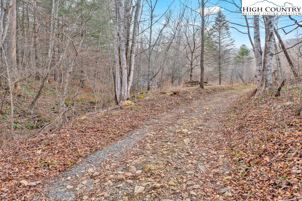 9716 3 Top Road Todd, NC 28684 - Photo 11 of 23 a view of a dry yard with trees