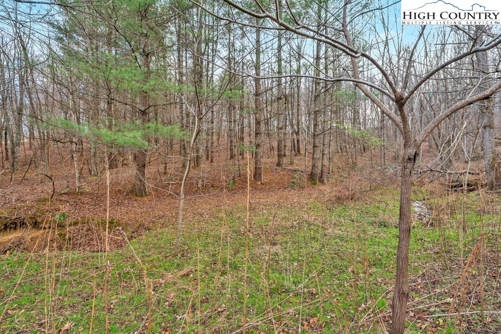 9716 3 Top Road Todd, NC 28684 - Photo 13 of 23 a bathroom with a shower