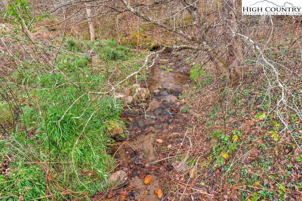 9716 3 Top Road Todd, NC 28684 - Photo 15 of 23 a backyard of a house with lots of green space and shower