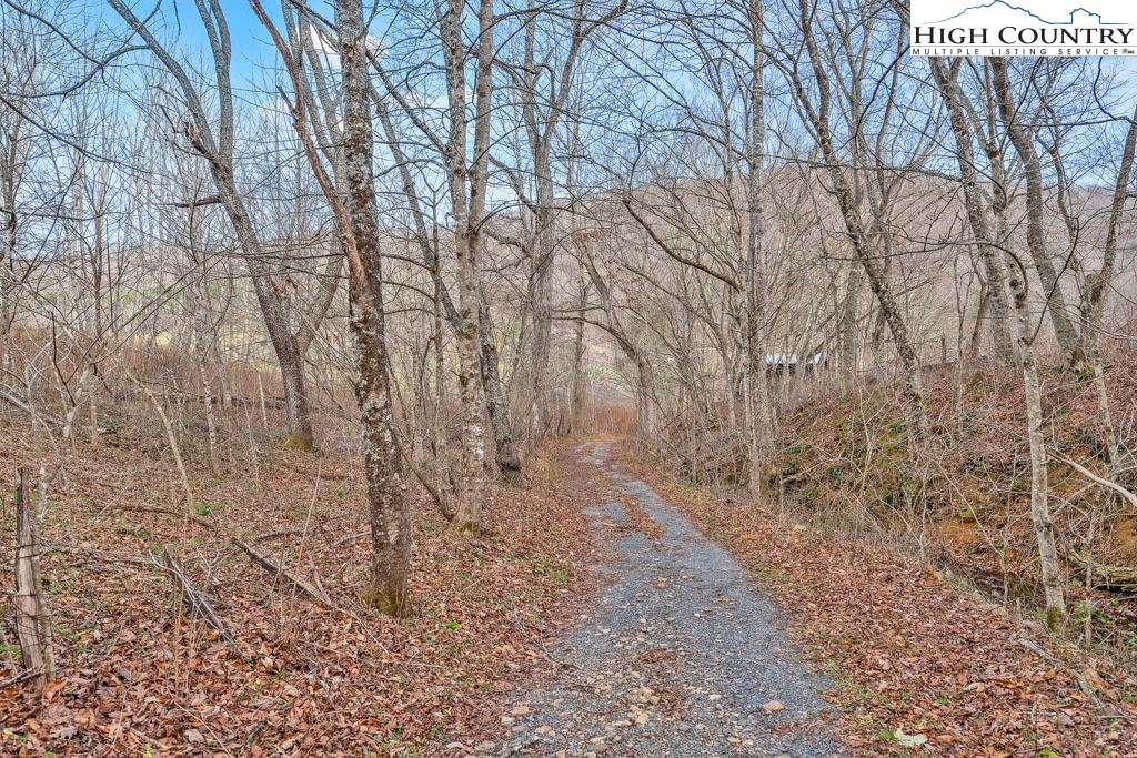 9716 3 Top Road Todd, NC 28684 - Photo 10 of 23 a view of a yard with trees