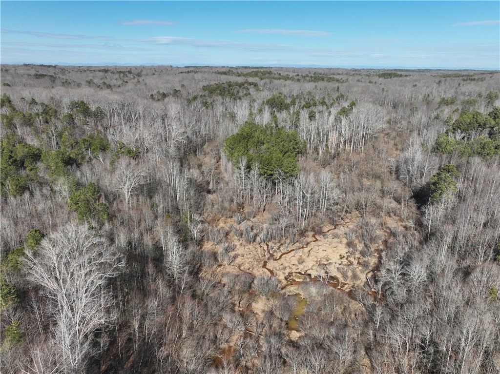 2030 Donaldson Road Anderson, SC 29621 - Photo 13 of 31