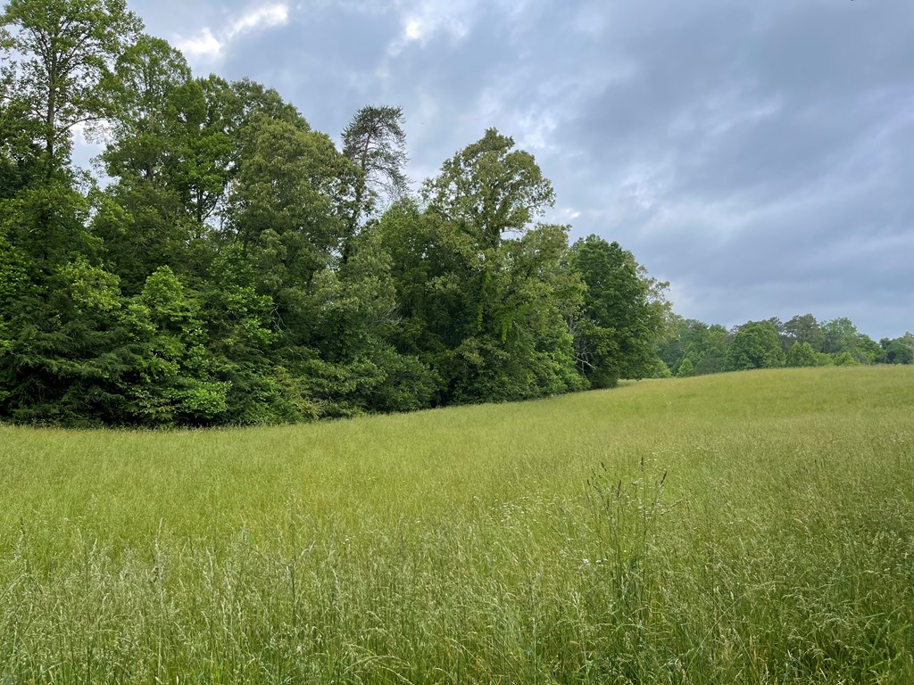 100 South Road Morganton, GA 30560 - Photo 54 of 58 Gallery Image 54
