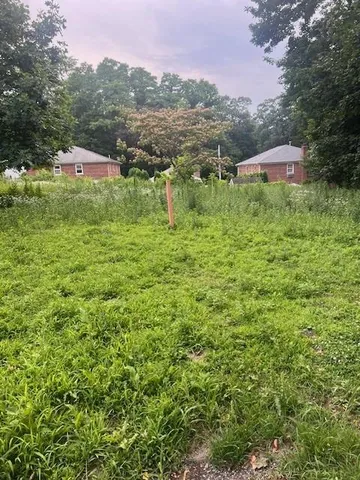 a view of a lush green space