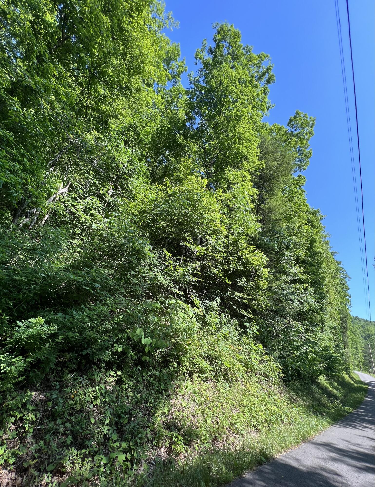 9999 Trace Branch Road Livingston, KY 40445 - Photo 3 of 16 7485EE0E-3CB9-498C-BE1E-E3DD9F0E0E02