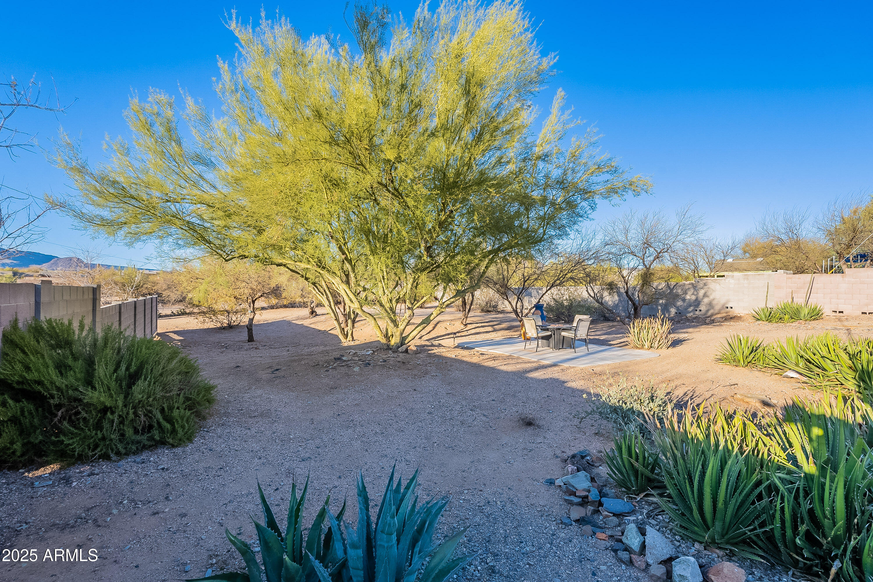 5960 East Grapevine Road Cave Creek, AZ 85331 - Photo 40 of 54 a view of a yard with plants and trees