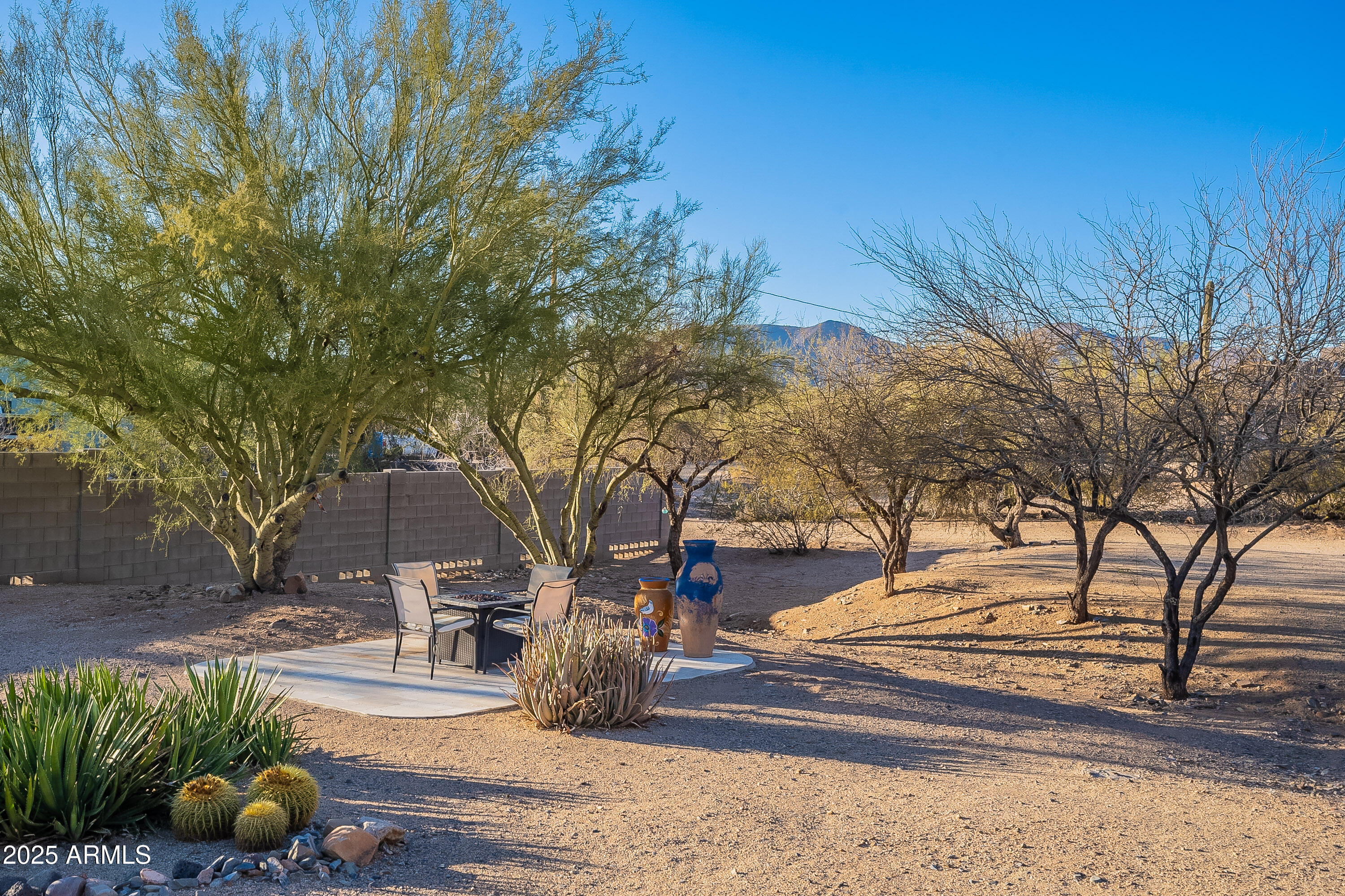 5960 East Grapevine Road Cave Creek, AZ 85331 - Photo 41 of 54 a view of road with yard and trees in the background