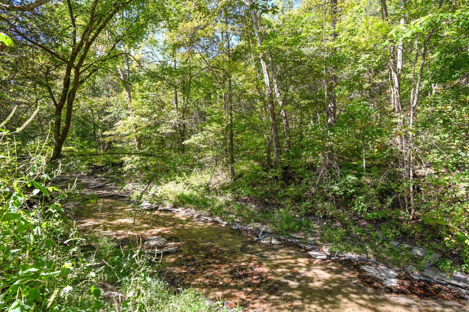 15407 Aberdeen Road Bennington, IN 47011 - Photo 33 of 48