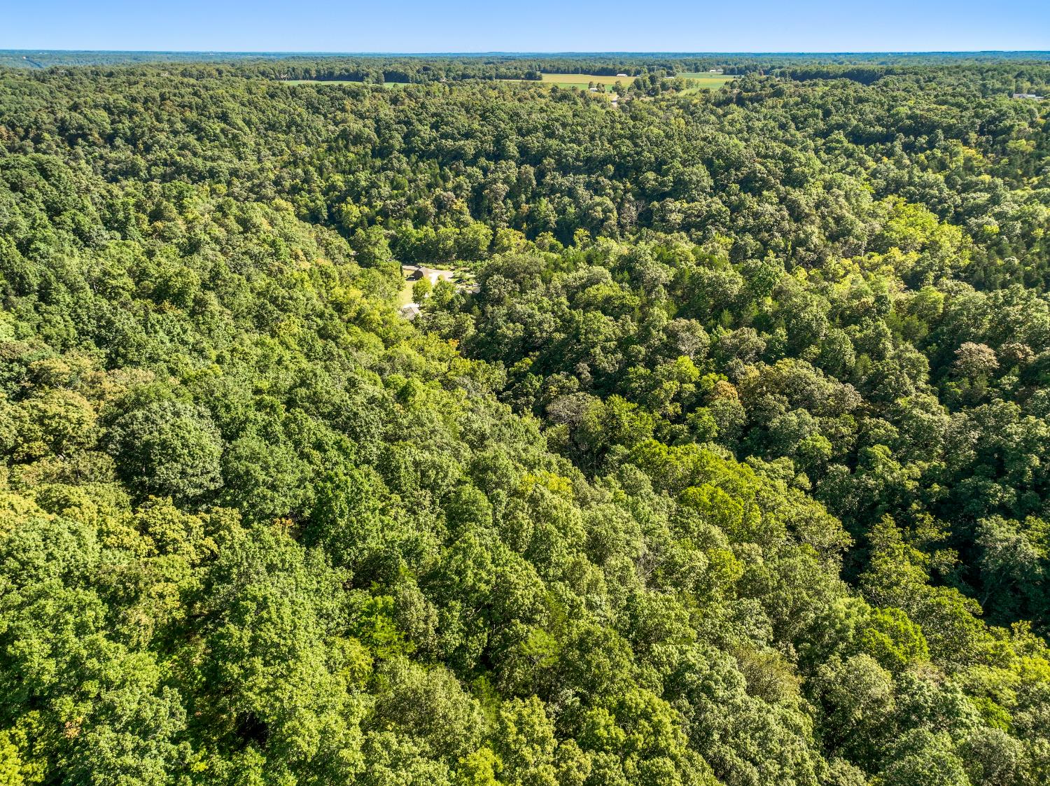 15407 Aberdeen Road Bennington, IN 47011 - Photo 39 of 48