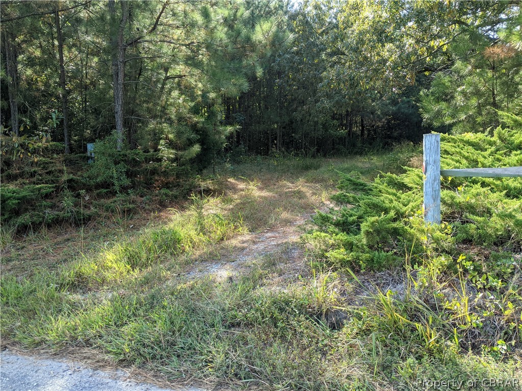 0 Willis Road Gloucester, VA 23061 - Photo 3 of 4