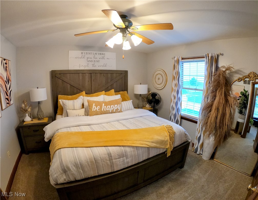 2421 McCoy Road Wooster, OH 44691 - Photo 15 of 39 Carpeted bedroom with ceiling fan and baseboards