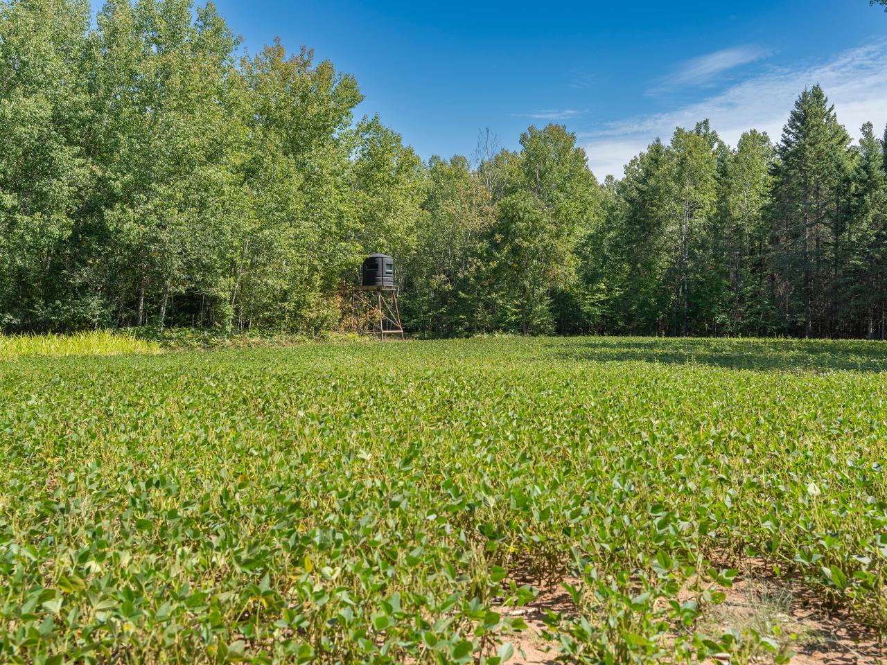 4164 North Popko Circle West Mercer, WI 54547 - Photo 46 of 60 Gallery Image 46