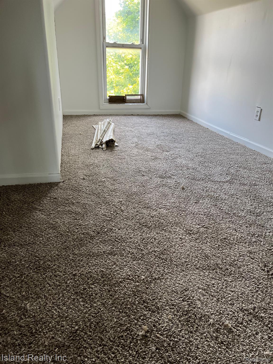 152 Goodell Street River Rouge, MI 48218 - Photo 4 of 9 Gallery Image 4