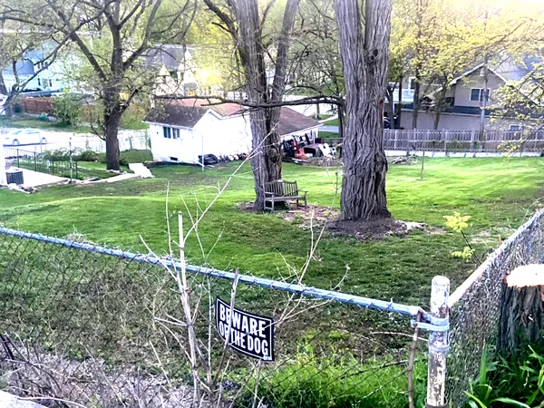 a green field with lots of trees