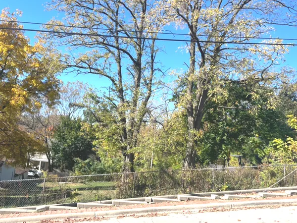 a view of a yard and tree s