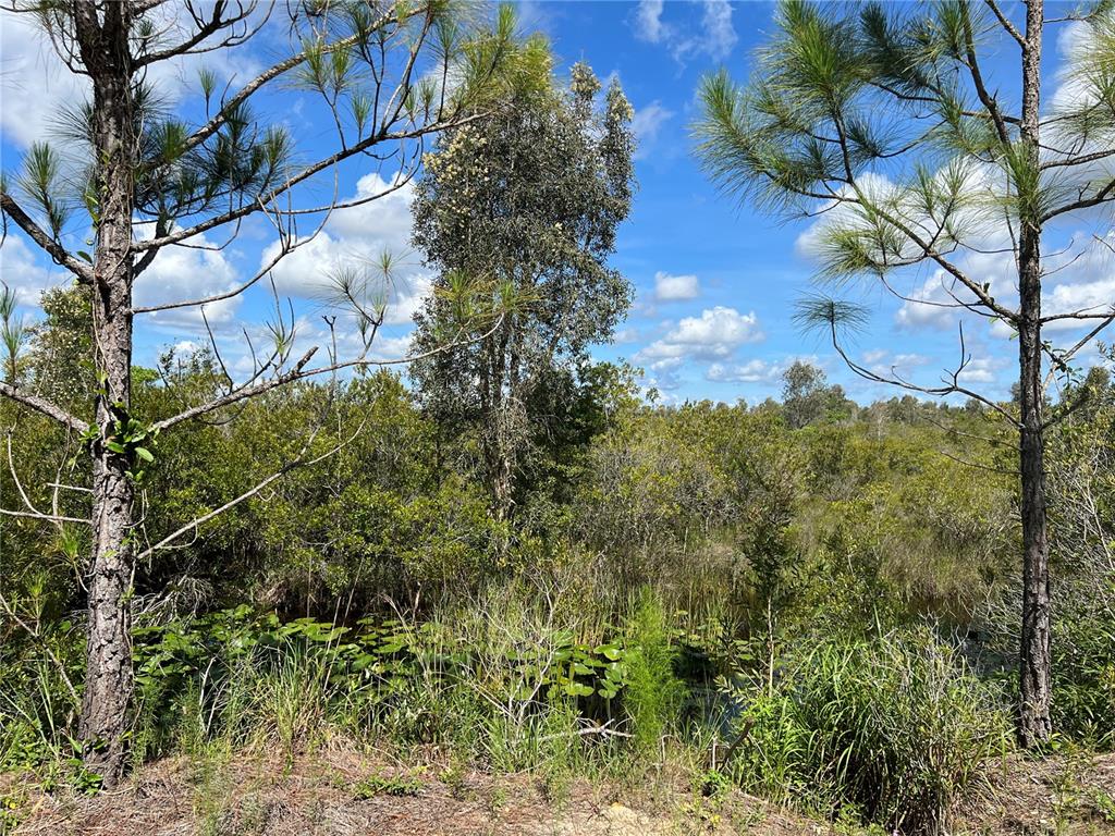 33854 Oil Well Road Punta Gorda, FL 33955 - Photo 1 of 1 Gallery Image 1