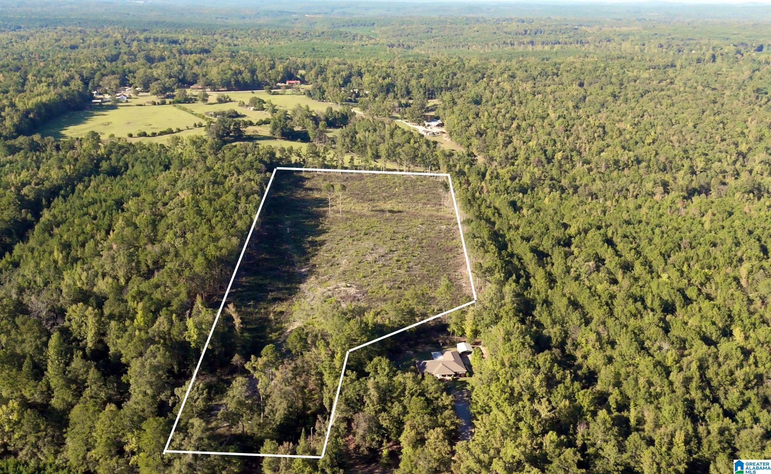 0 County Road 252, Unit 12 87 Clanton, AL 35046 - Photo 1 of 6