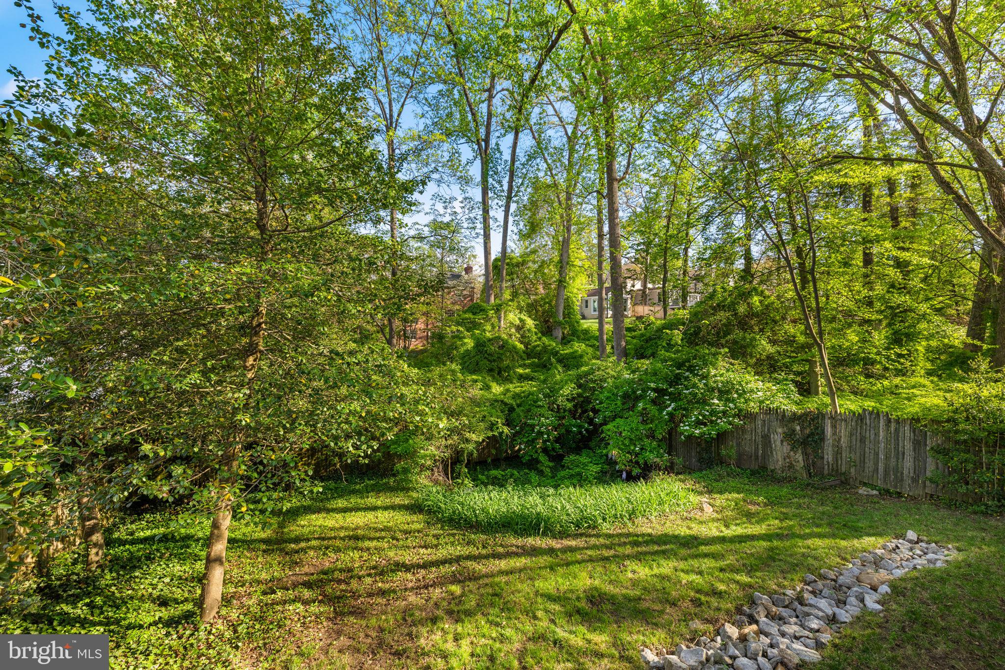 6517 Barnaby Street Northwest Washington, DC 20015 - Photo 9 of 20 a view of a yard with a tree