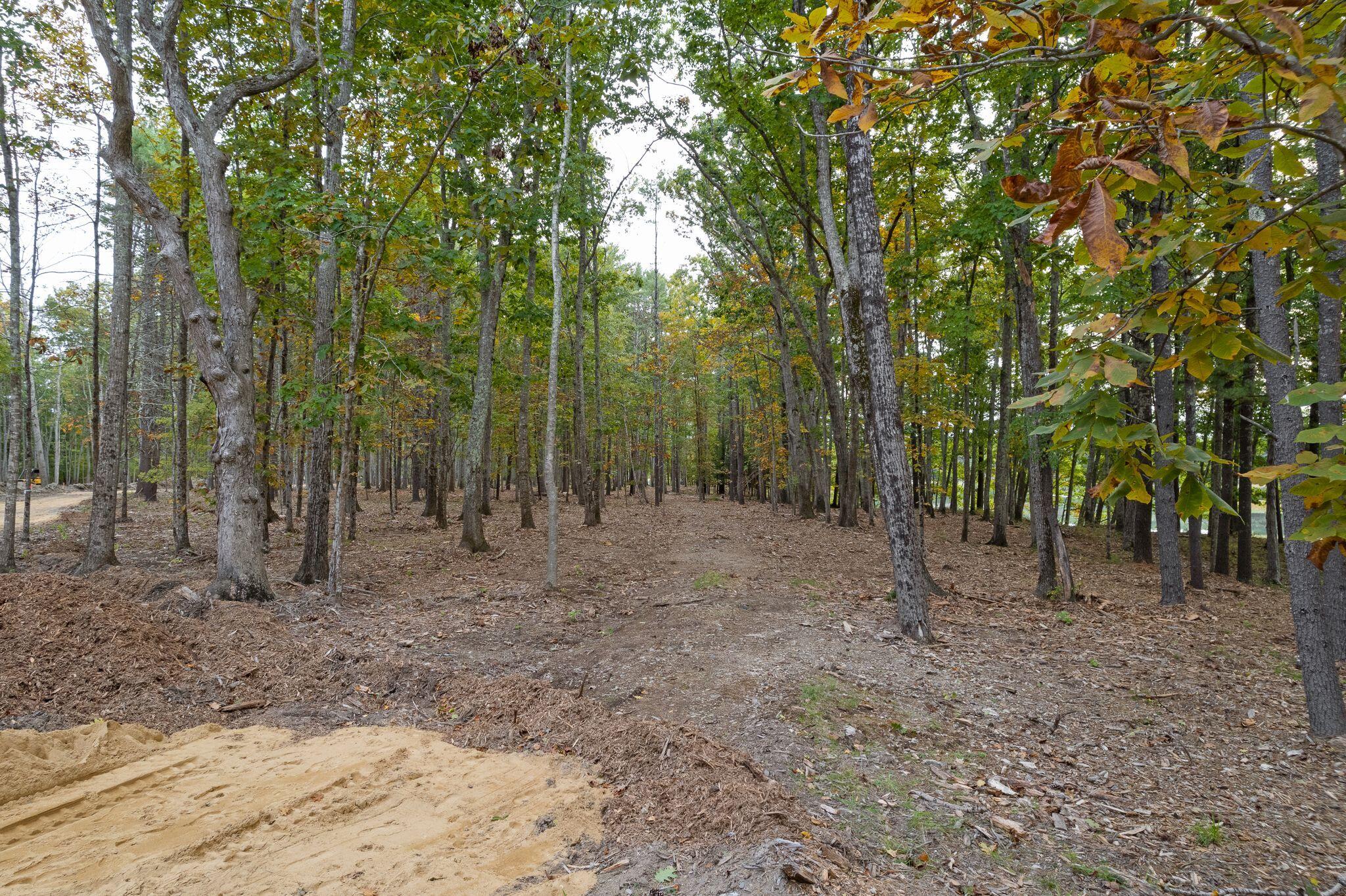 126 Cider Hill Road York, ME 03909 - Photo 21 of 21 126 CHR old cart path