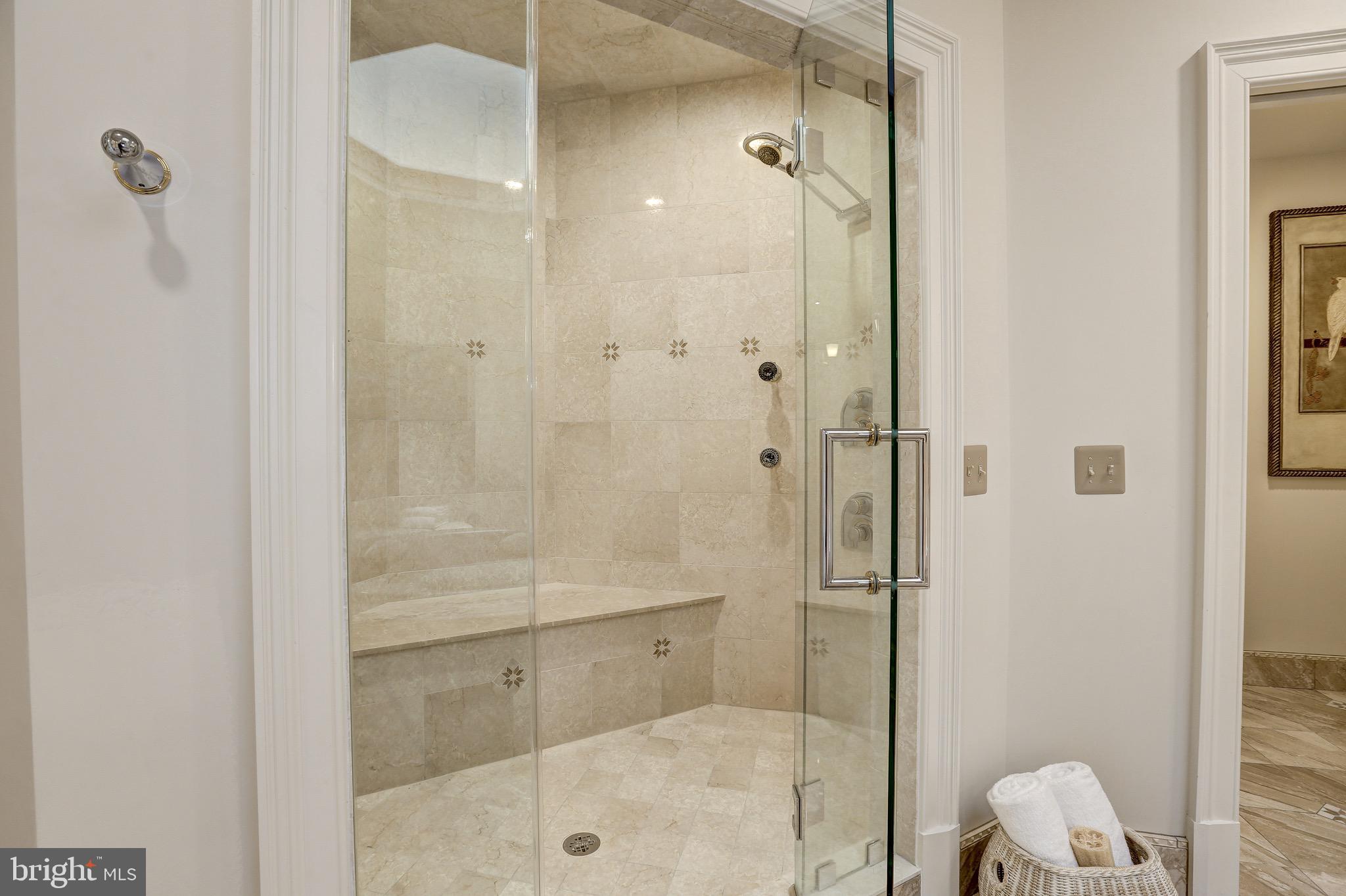 8313 Persimmon Tree Road Bethesda, MD 20817 - Photo 29 of 53 Gracious Shower