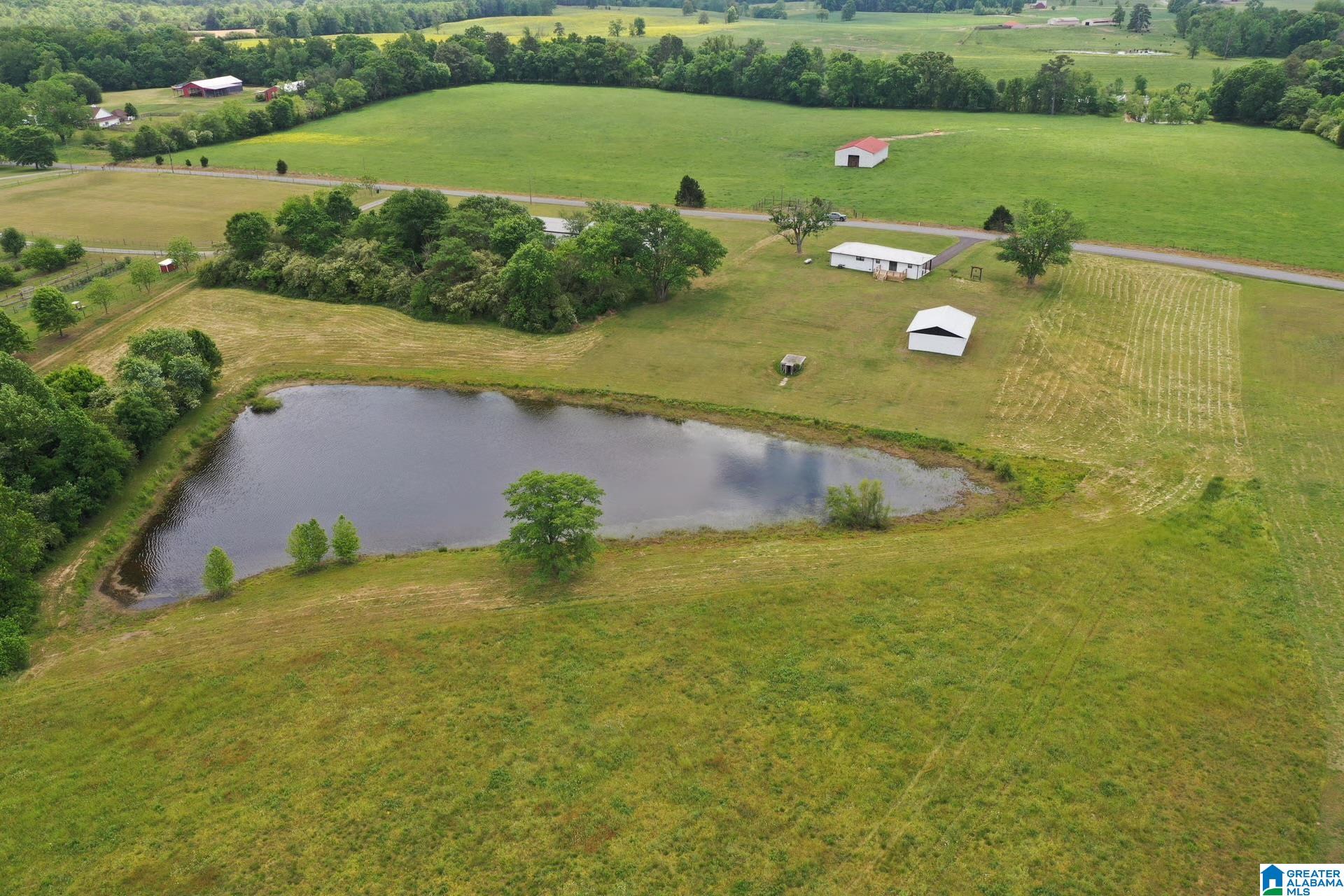 245 Schoolhouse Road Baileyton, AL 35019 - Photo 5 of 20