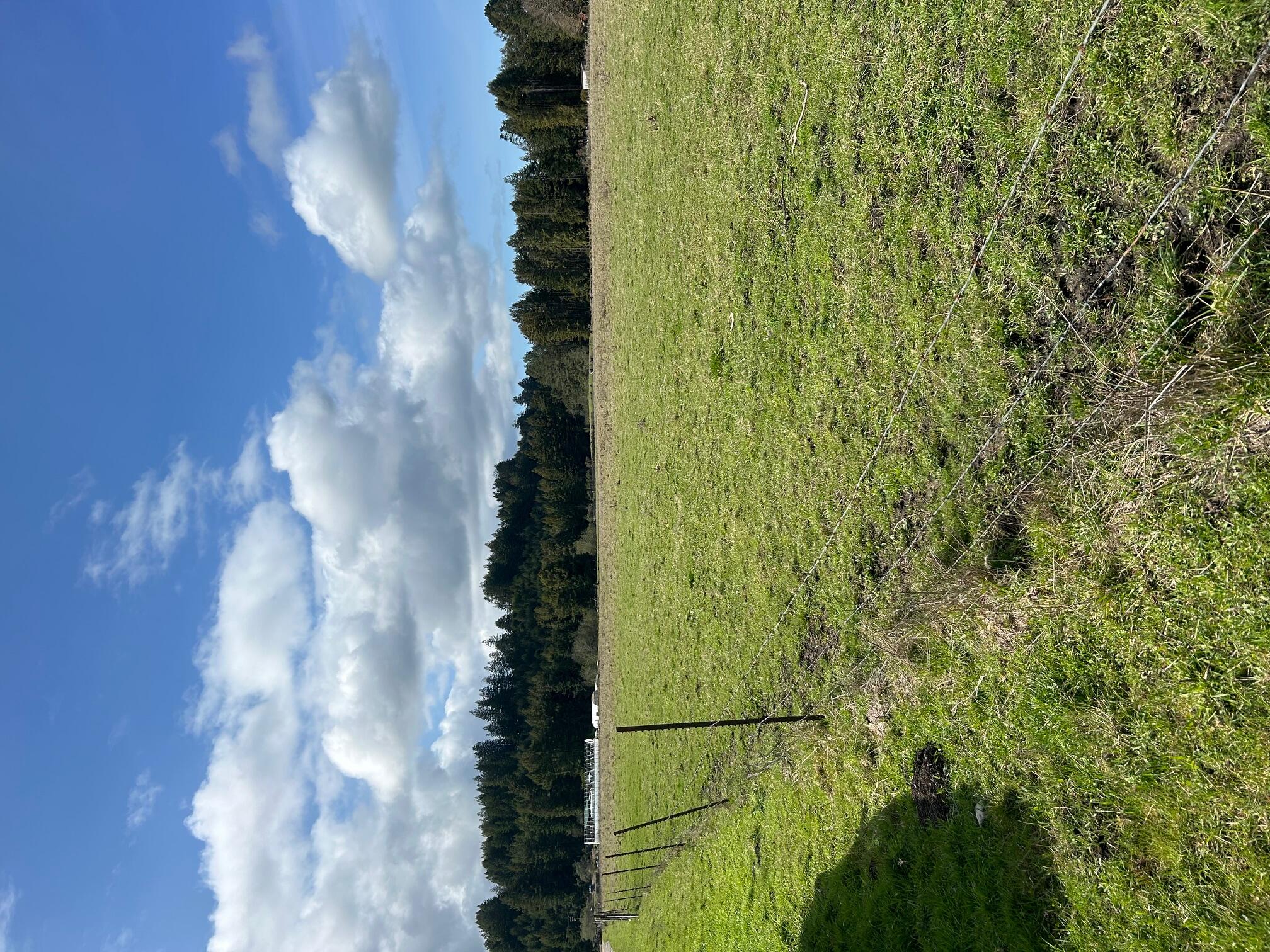 720 Dinsmore Ranch Road Rio Dell, CA 95562 - Photo 6 of 9