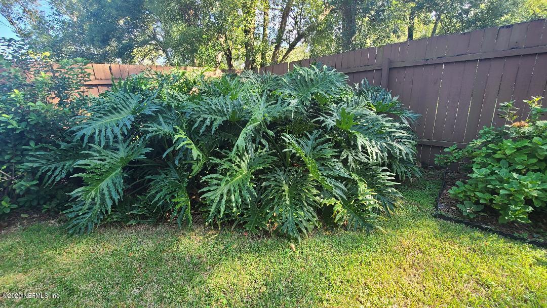 6606 Bennett Road Jacksonville, FL 32216 - Photo 23 of 24 Lush Landscaping
